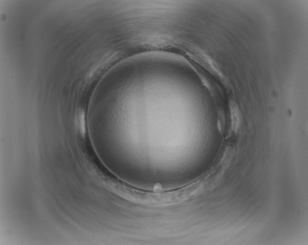 X0000073750027200608031440