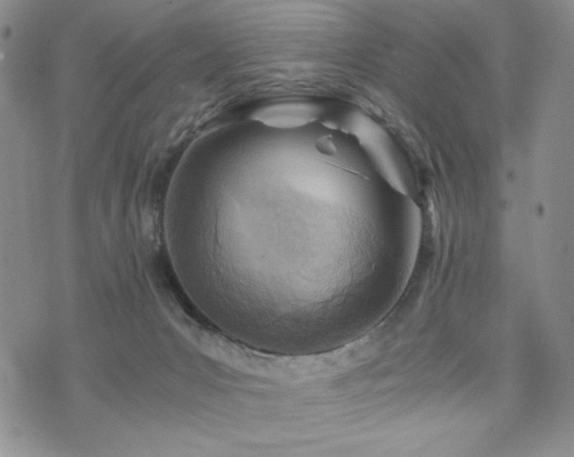 X0000073750031200608031440