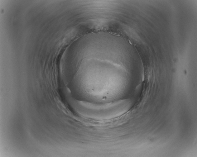 X0000073750039200608031440