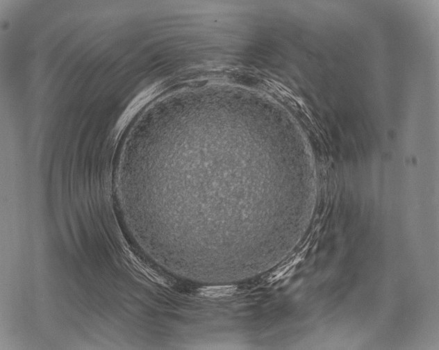 X0000073750051200608031439