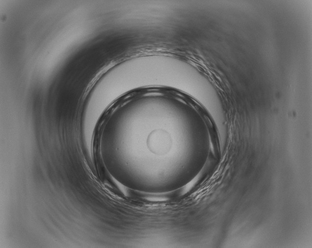 X0000073750052200608031439