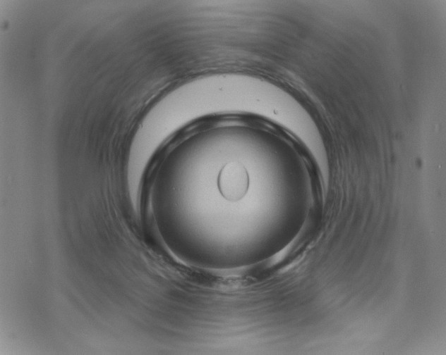 X0000073750076200608031440