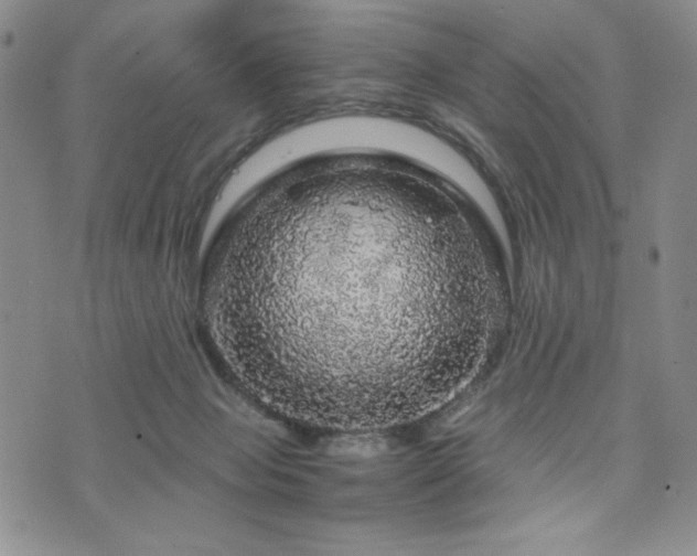 X0000073750077200608031440