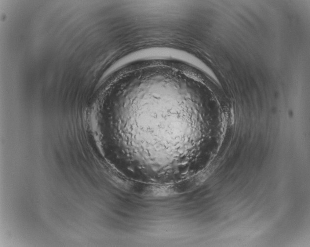 X0000073750093200608031440