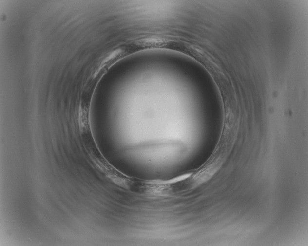 X0000073750096200608031440