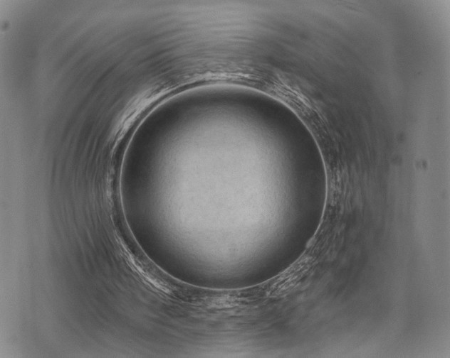X0000073750098200608031439