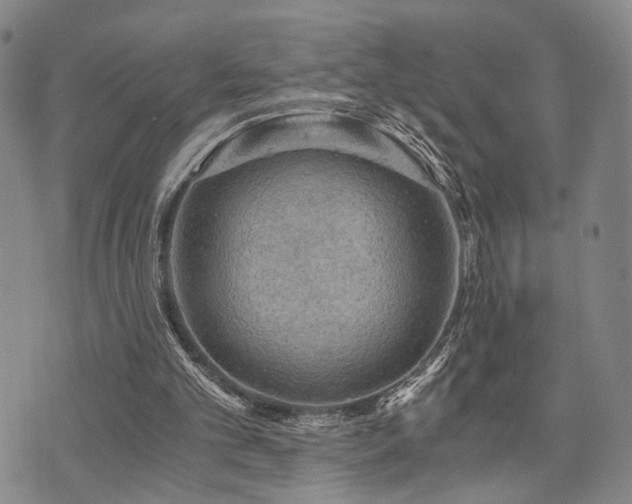 X0000073750101200608031439