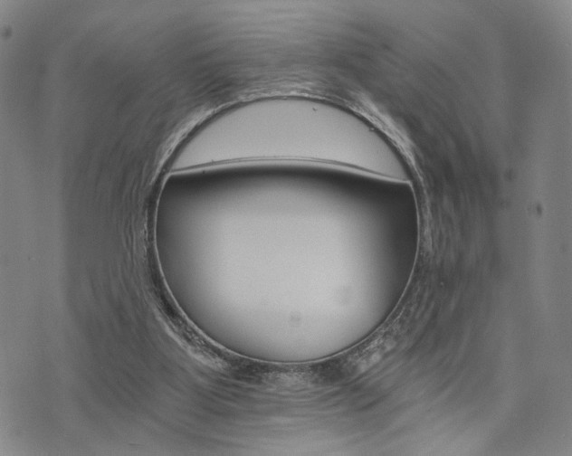 X0000073750107200608031439