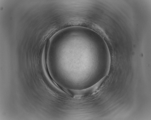 X0000073750114200608031439