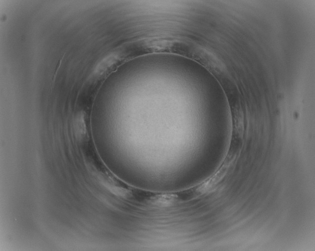 X0000073750128200608031439