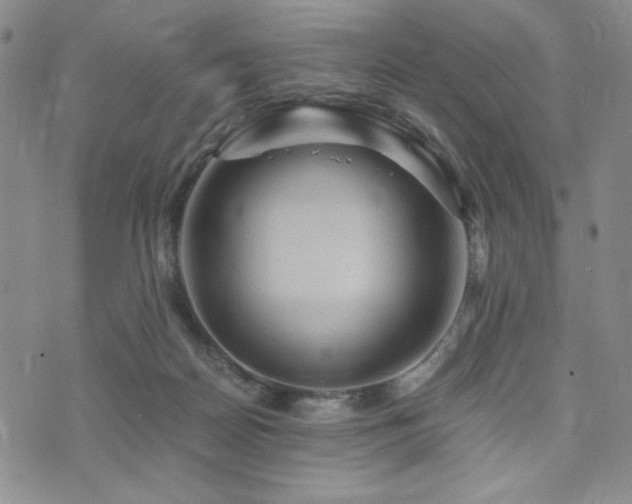 X0000073750170200608031438