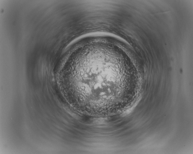 X0000073750182200608031438