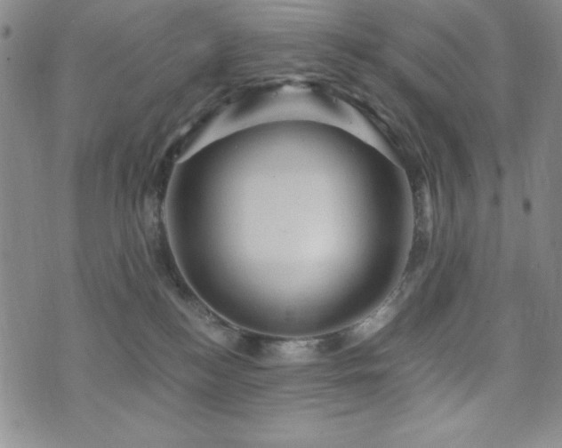 X0000073750184200608031438