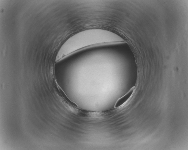 X0000073750192200608031438