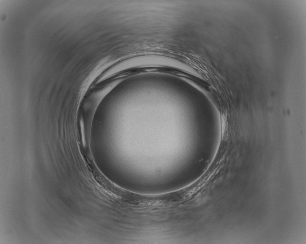 X0000073750195200608031438