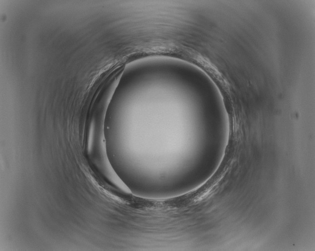 X0000073750201200608031438