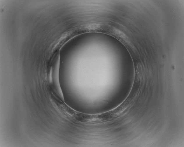 X0000073750212200608031437