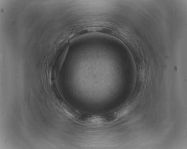 X0000073750219200608031437