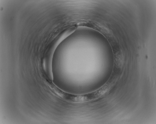X0000073750225200608031437
