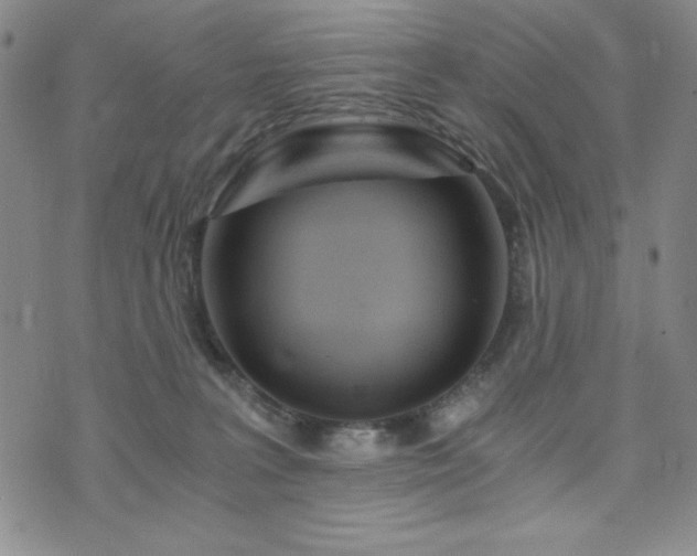 X0000073750227200608031437