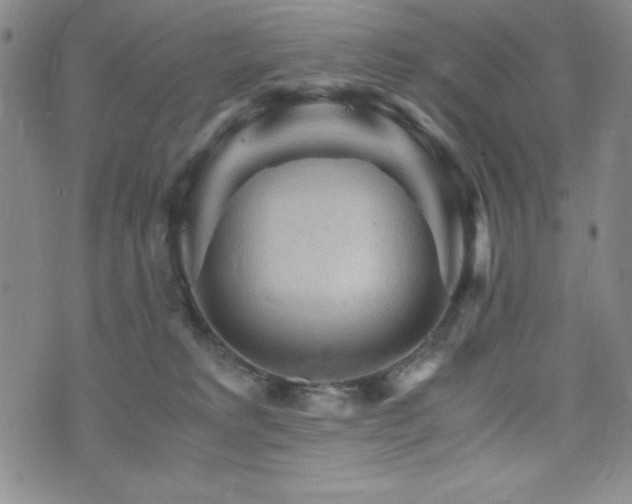 X0000073750229200608031437
