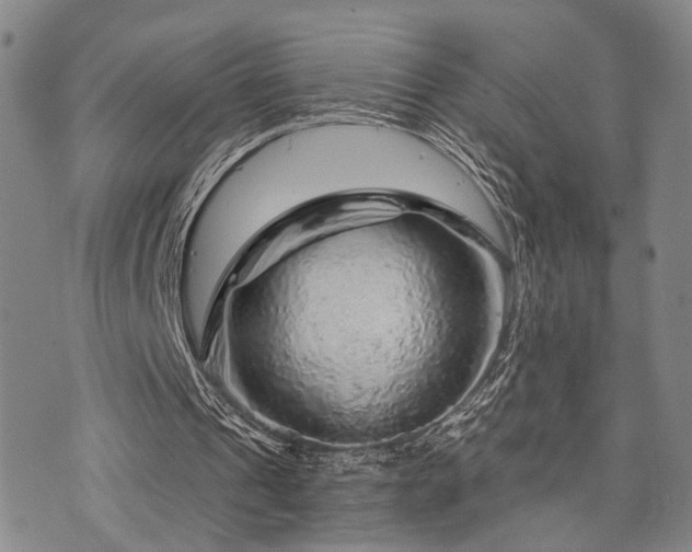 X0000073750241200608031436