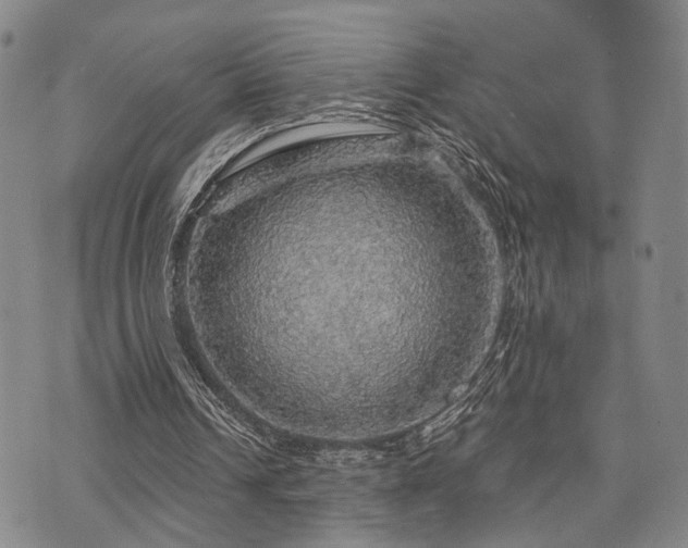 X0000073750242200608031436
