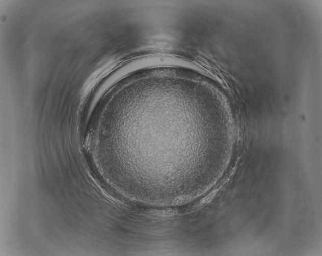 X0000073750245200608031436