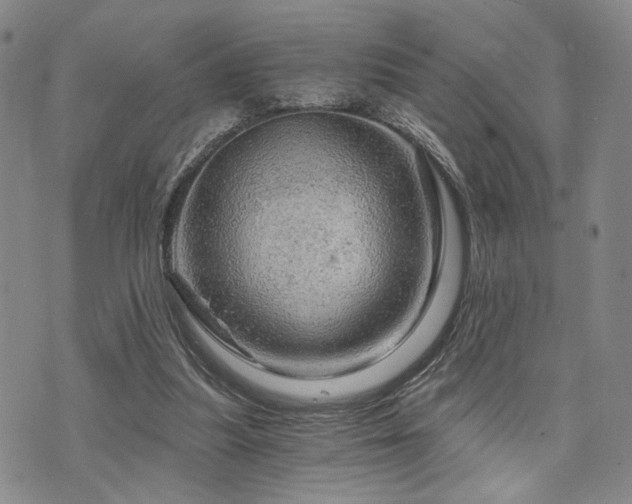 X0000073750251200608031436