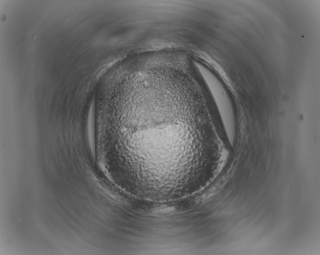 X0000073750257200608031436