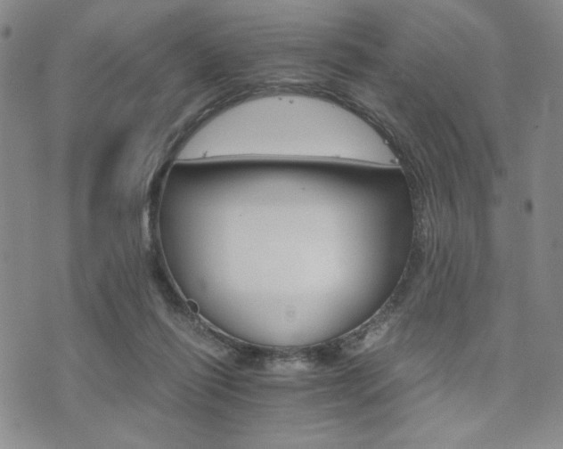 X0000073750262200608031436