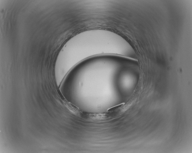 X0000073750288200608031437