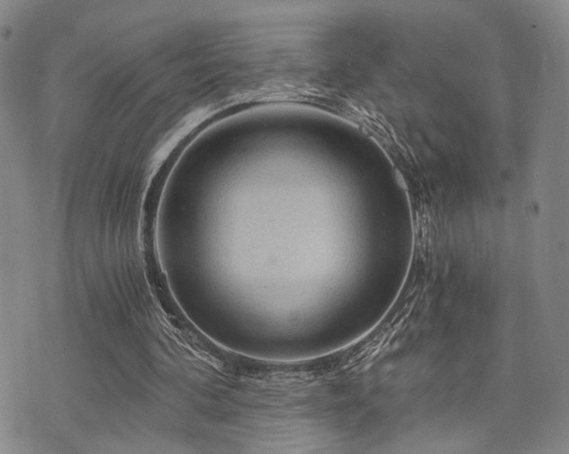 X0000073750292200608031436