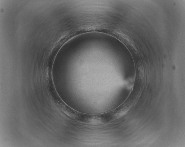 X0000073750308200608031436