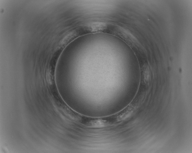 X0000073750316200608031436