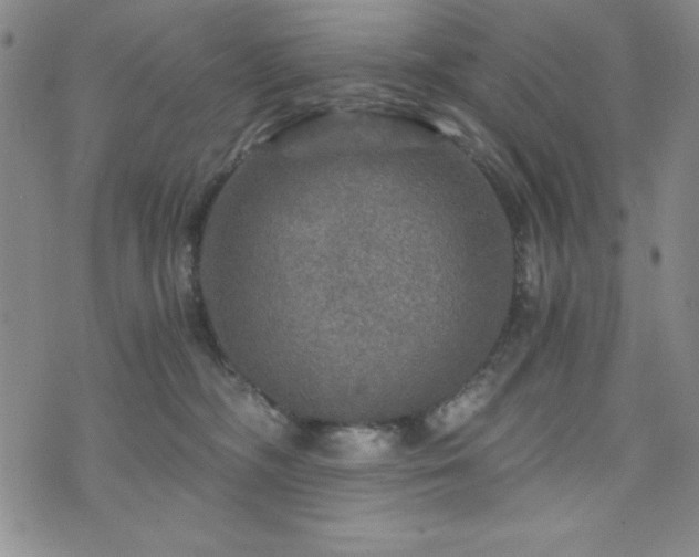 X0000073750326200608031436