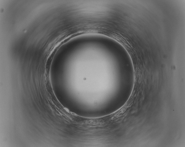 X0000073750338200608031435