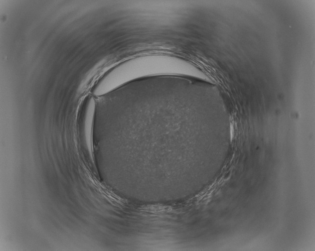 X0000073750339200608031435