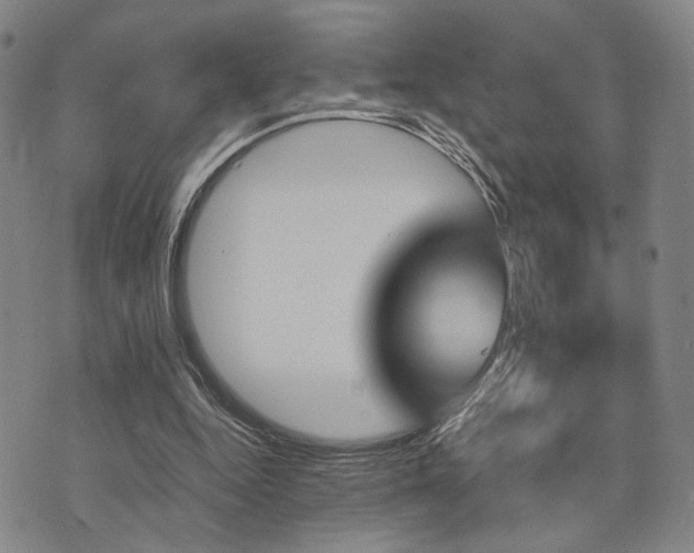 X0000073750344200608031435