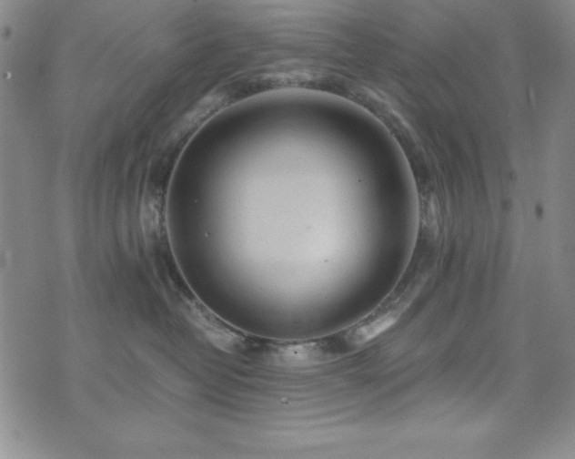 X0000073750382200608031435