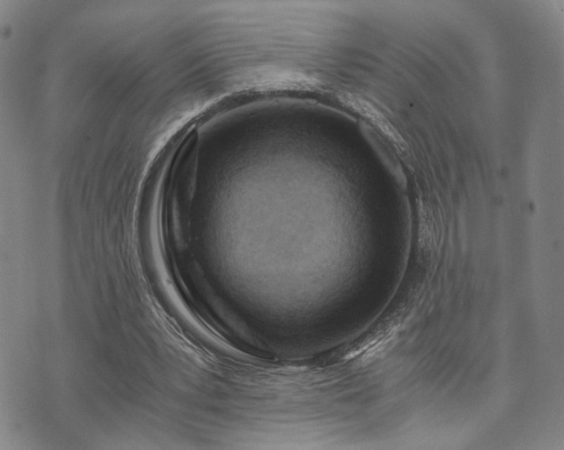 X0000073750391200608031434
