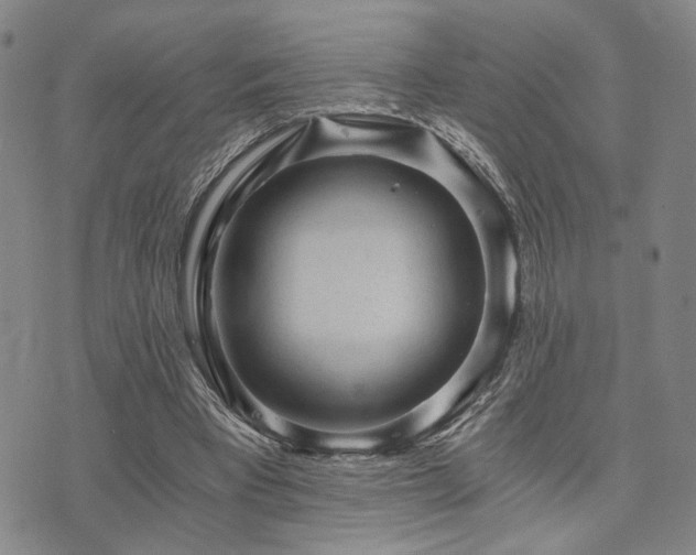 X0000073750393200608031434