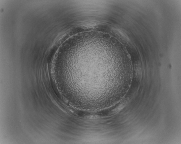 X0000073750408200608031434