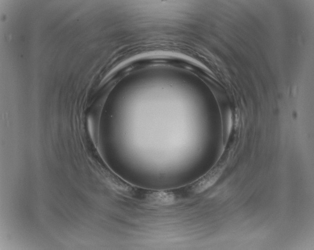 X0000073750421200608031434
