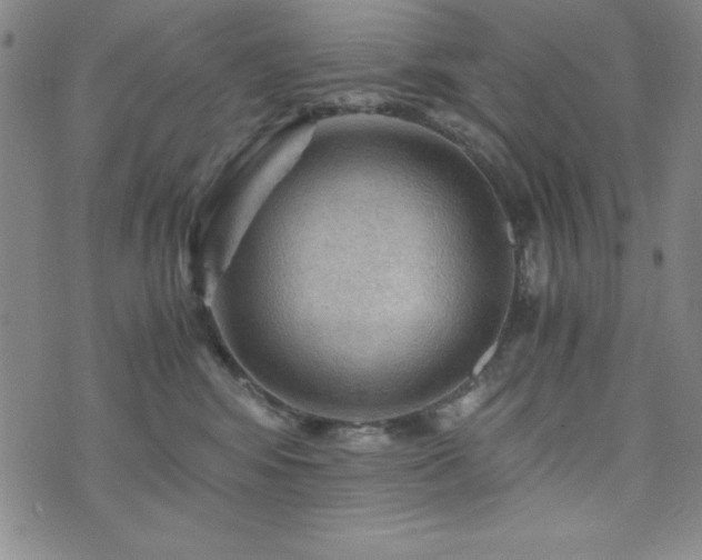 X0000073750424200608031434