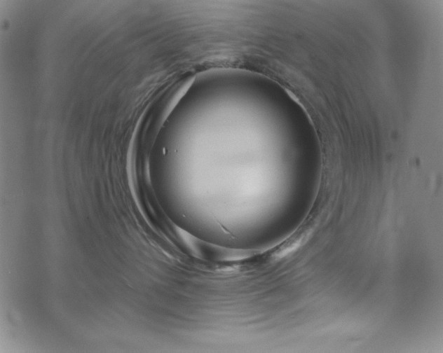X0000073750432200608031434