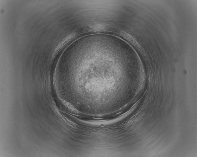 X0000073750442200608031433