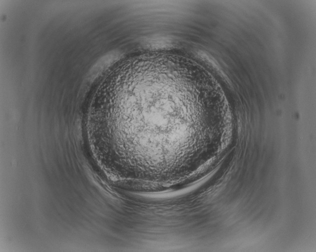 X0000073750447200608031433