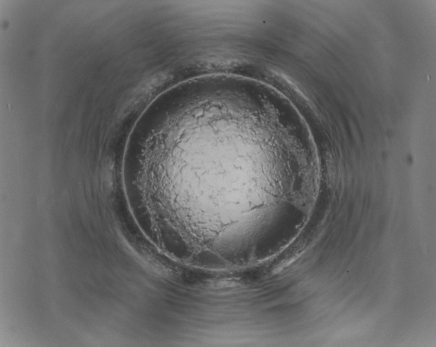 X0000073750451200608031433