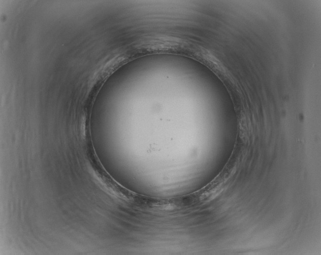 X0000073750454200608031433